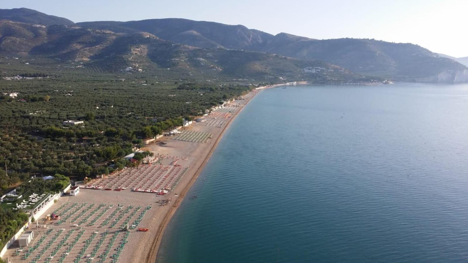 Olive&Sea Villa-Olive Mattinata Exteriér fotografie
