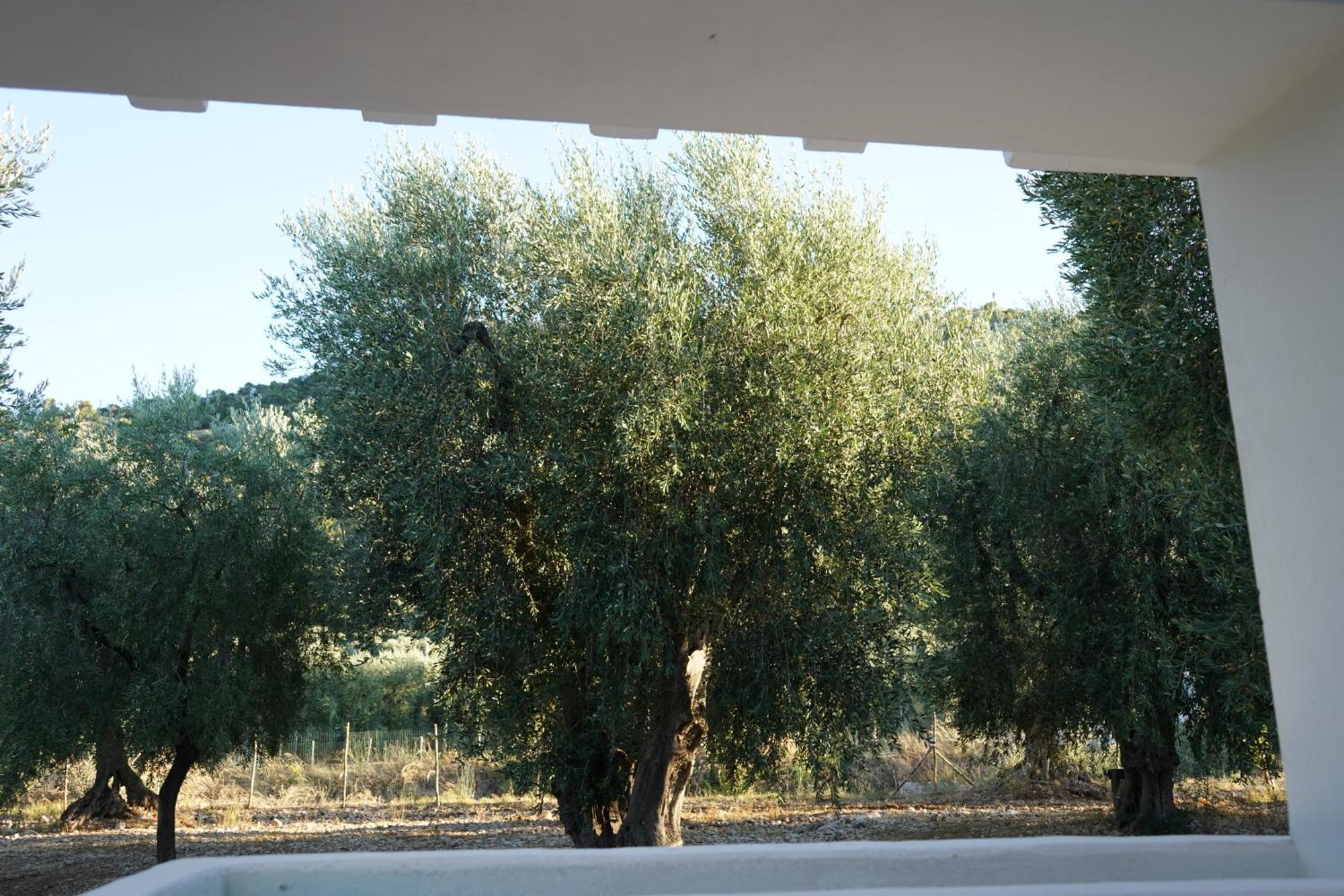 Olive&Sea Villa-Olive Mattinata Exteriér fotografie