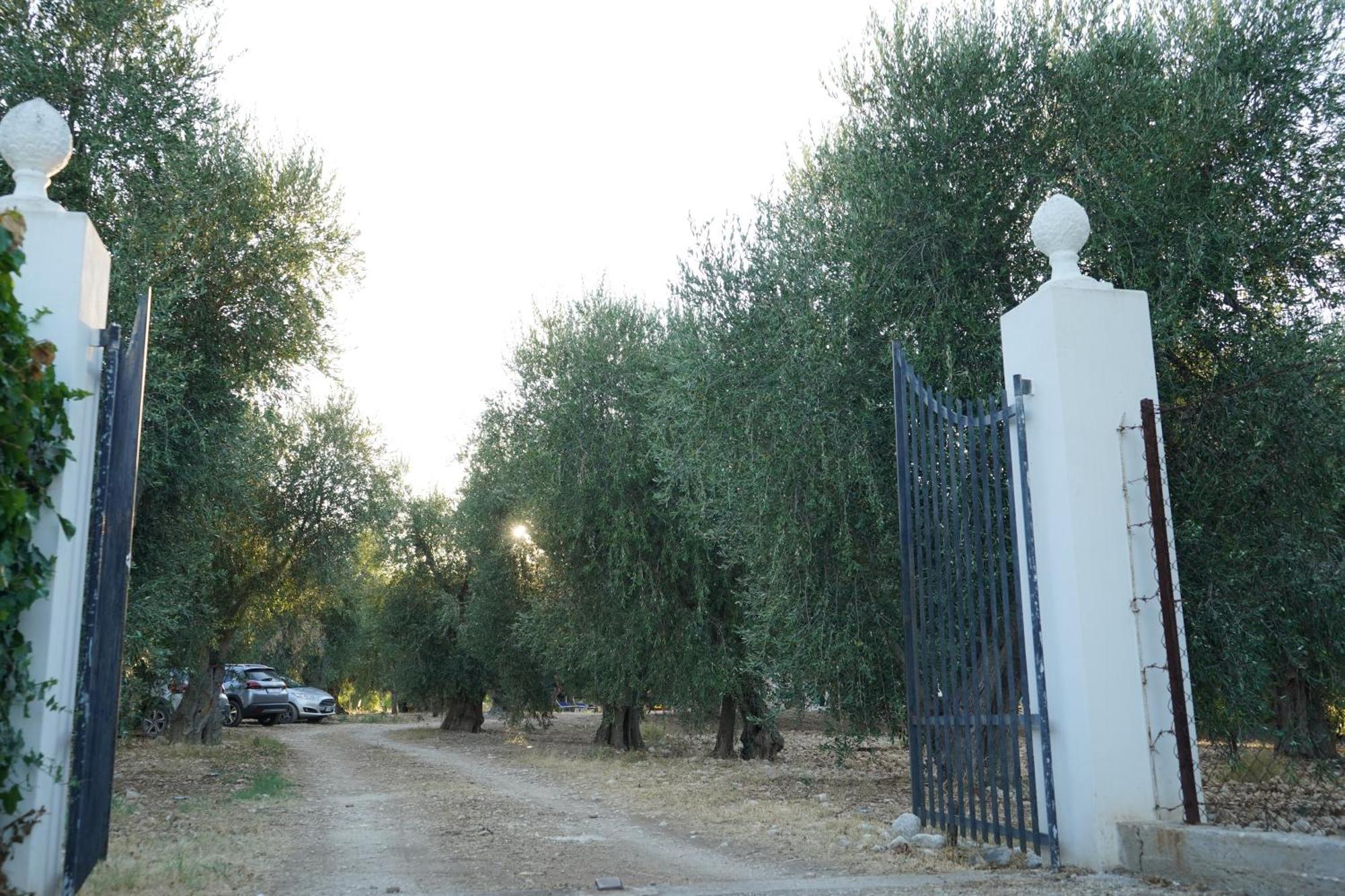 Olive&Sea Villa-Olive Mattinata Exteriér fotografie