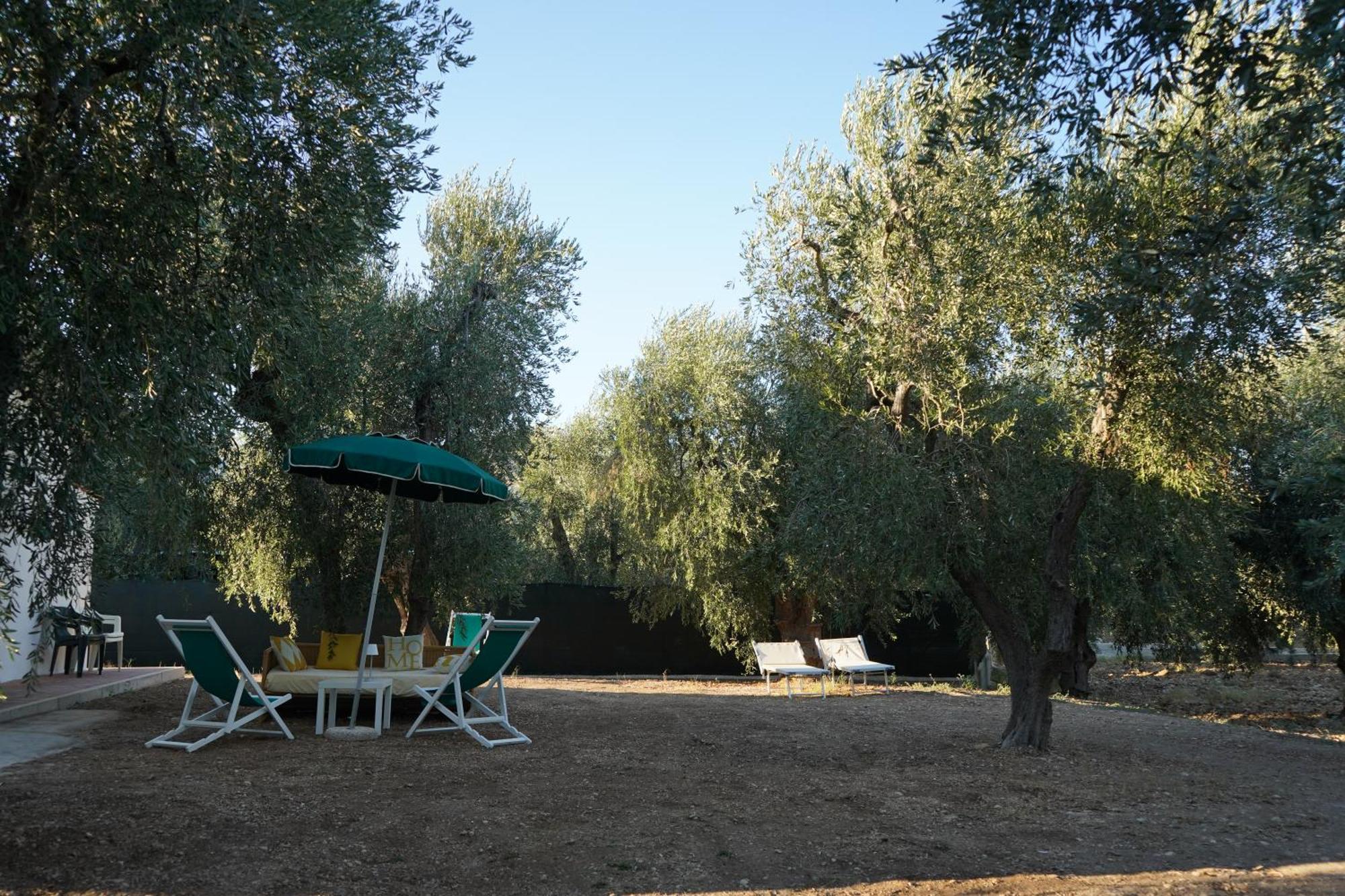 Olive&Sea Villa-Olive Mattinata Exteriér fotografie