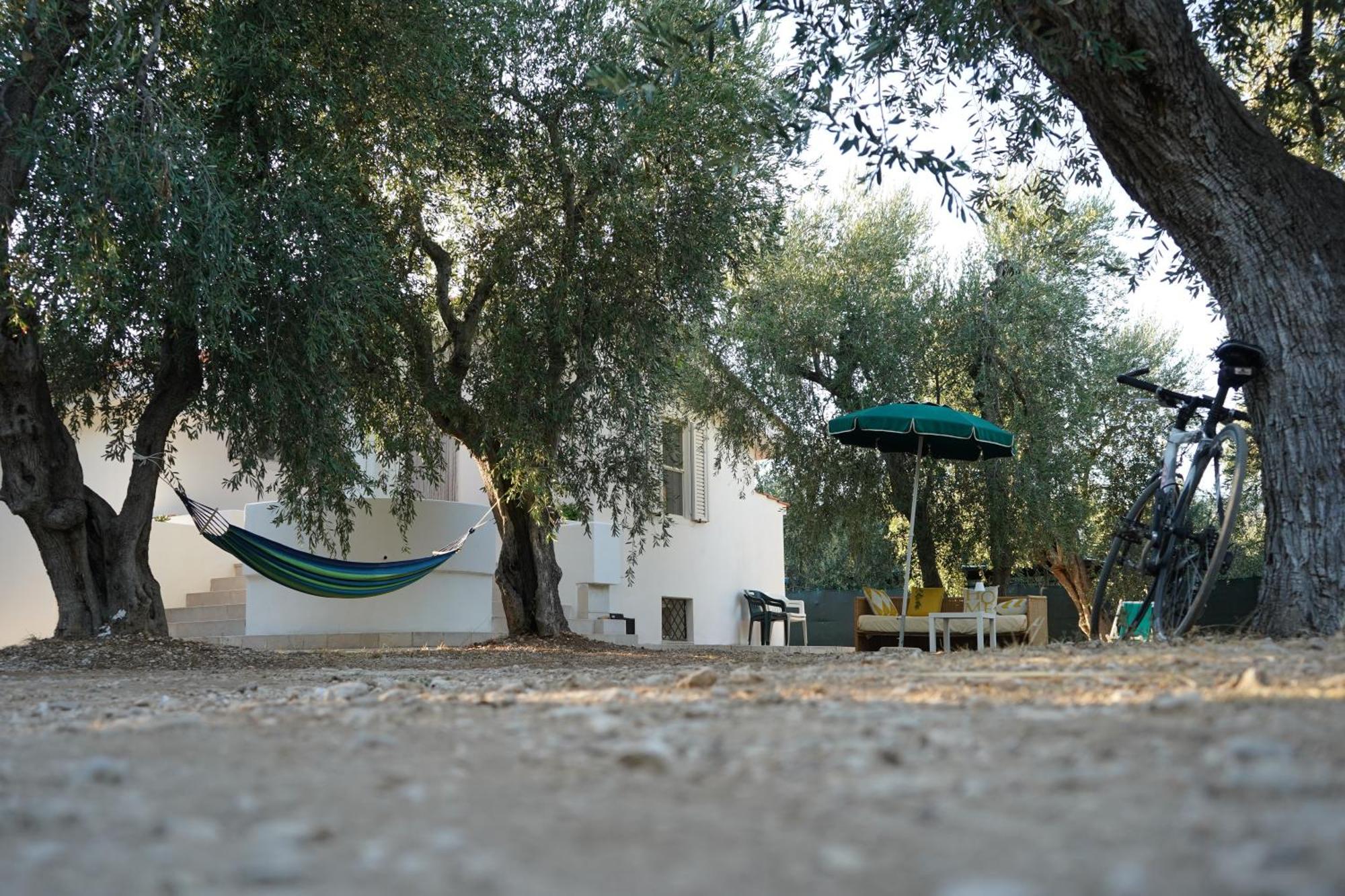 Olive&Sea Villa-Olive Mattinata Exteriér fotografie