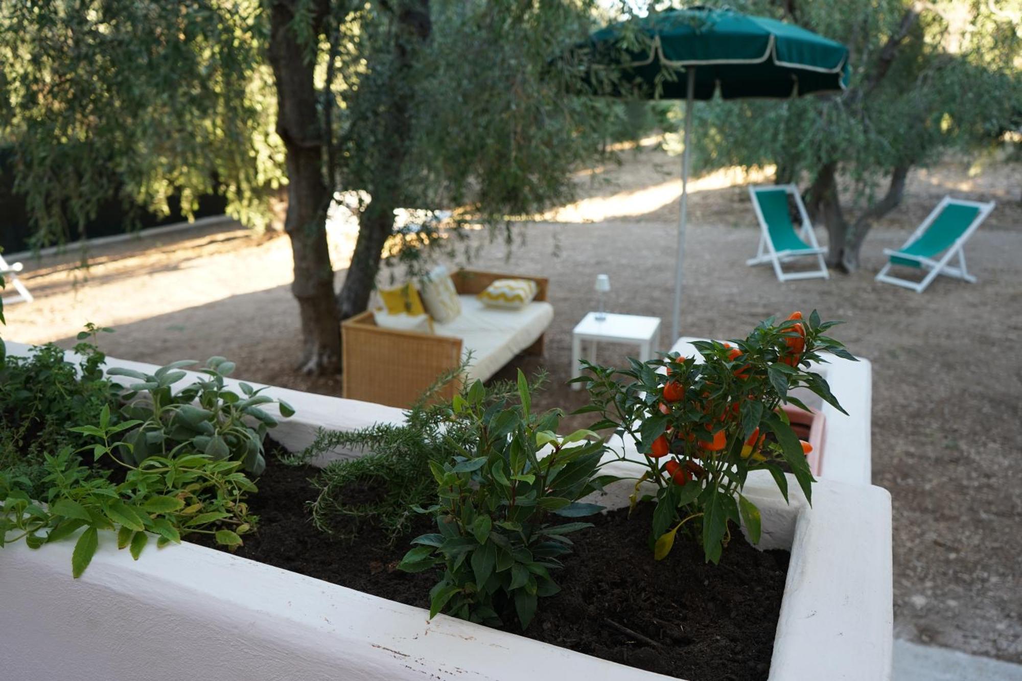 Olive&Sea Villa-Olive Mattinata Exteriér fotografie