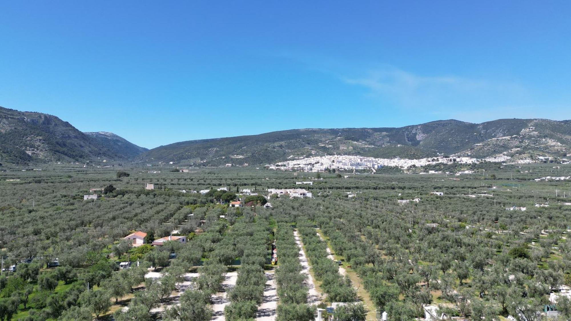 Olive&Sea Villa-Olive Mattinata Exteriér fotografie