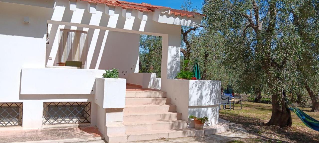 Olive&Sea Villa-Olive Mattinata Exteriér fotografie