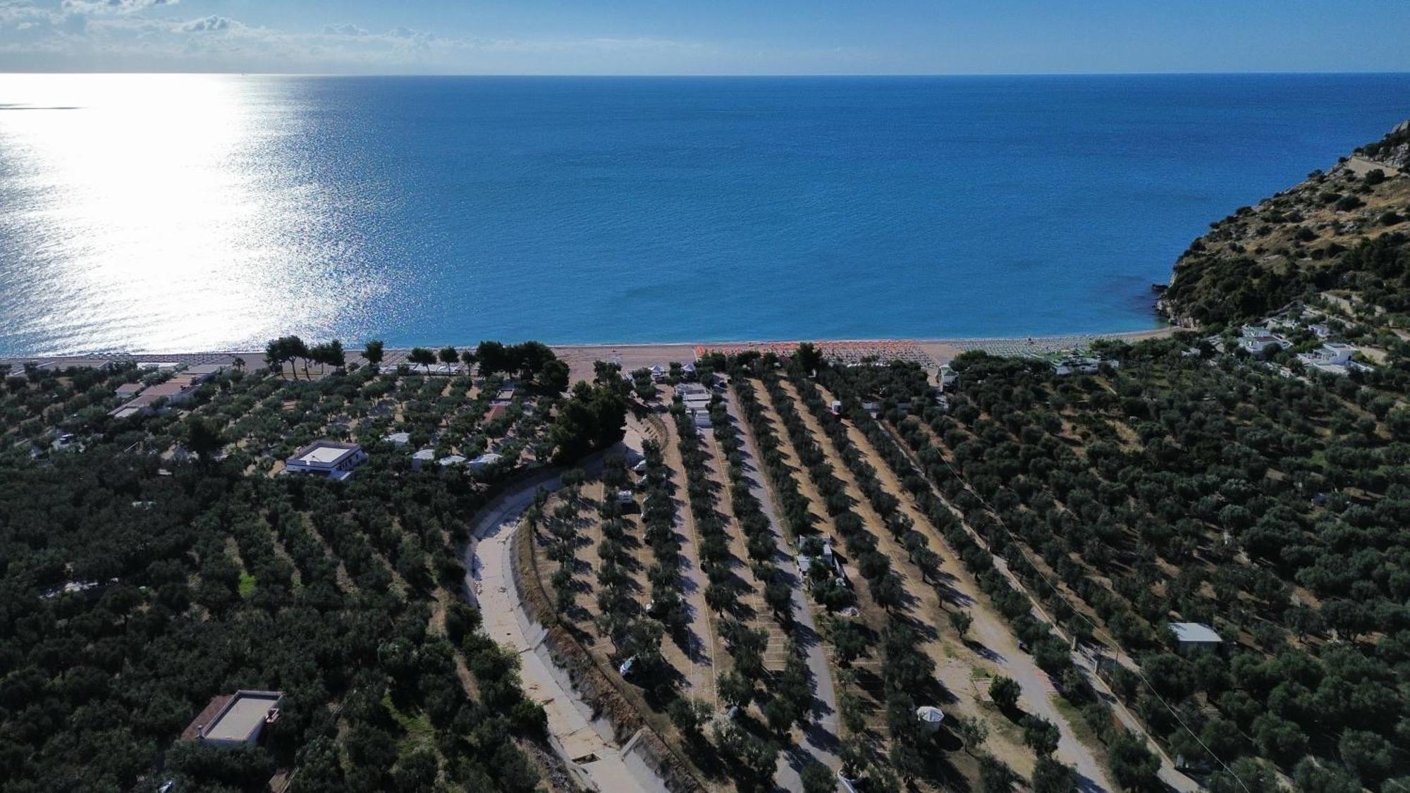 Olive&Sea Villa-Olive Mattinata Exteriér fotografie