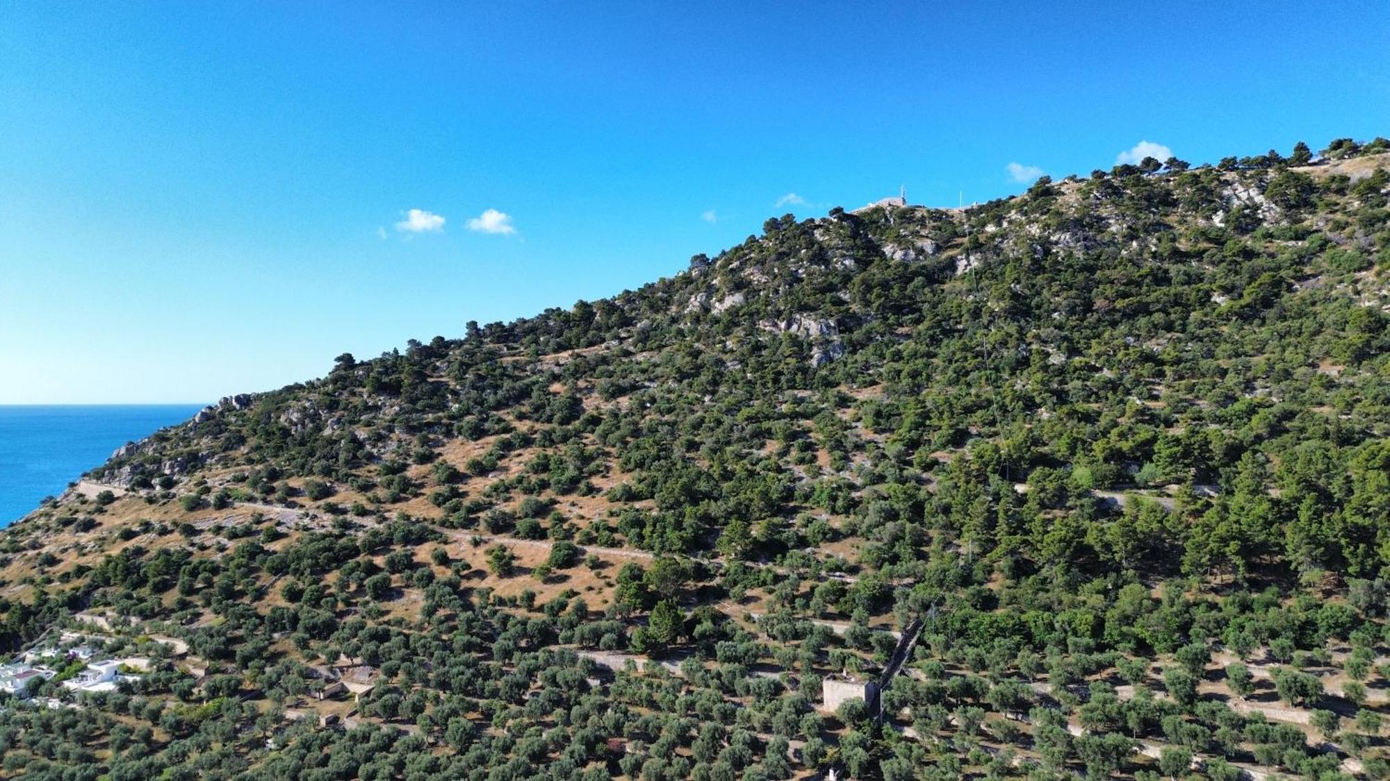Olive&Sea Villa-Olive Mattinata Exteriér fotografie