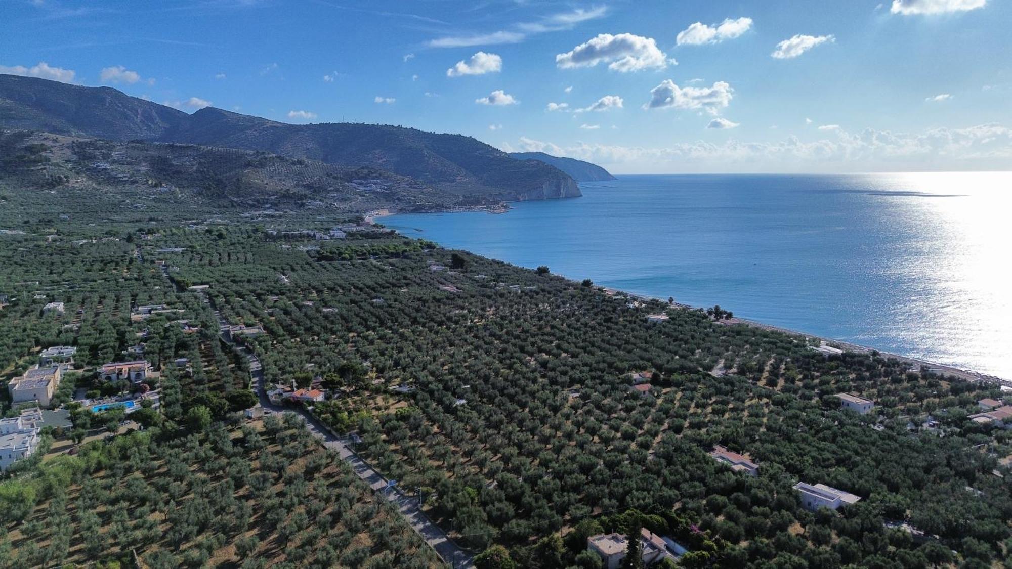 Olive&Sea Villa-Olive Mattinata Exteriér fotografie